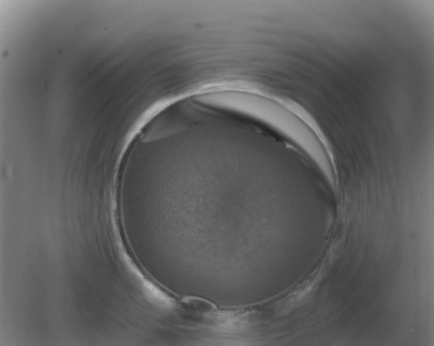 X0000081361005200701182108