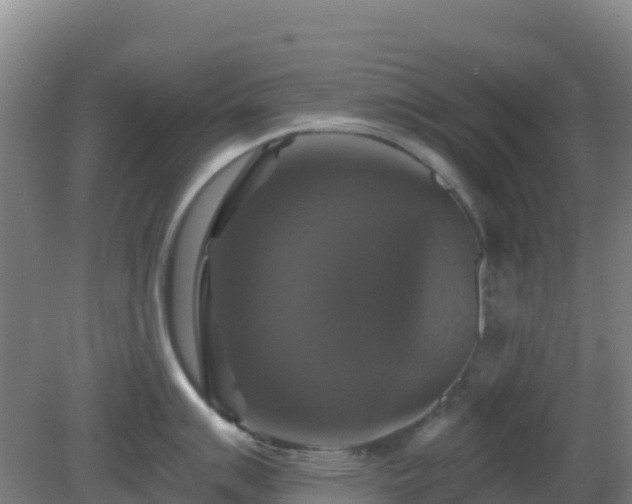 X0000081361007200701182108