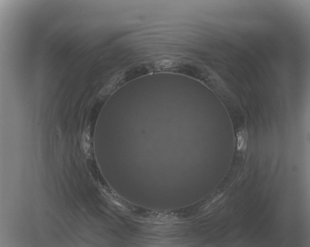 X0000081361011200701182107