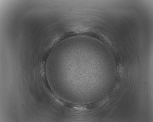 X0000081361012200701182107