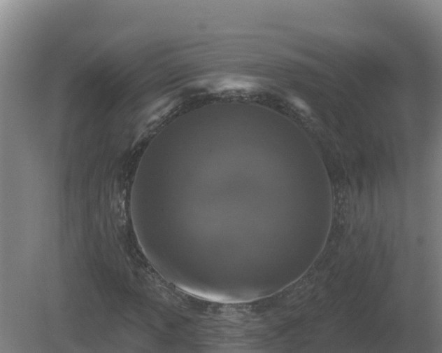 X0000081361013200701182107