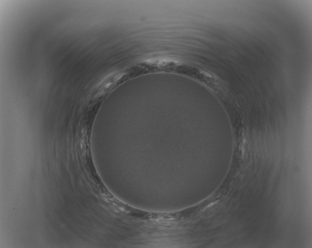 X0000081361014200701182107