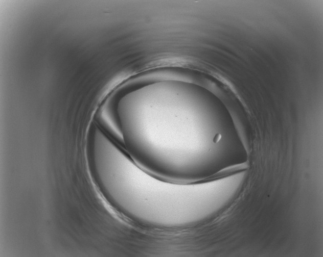 X0000081361034200701182107