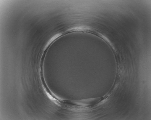 X0000081361042200701182107