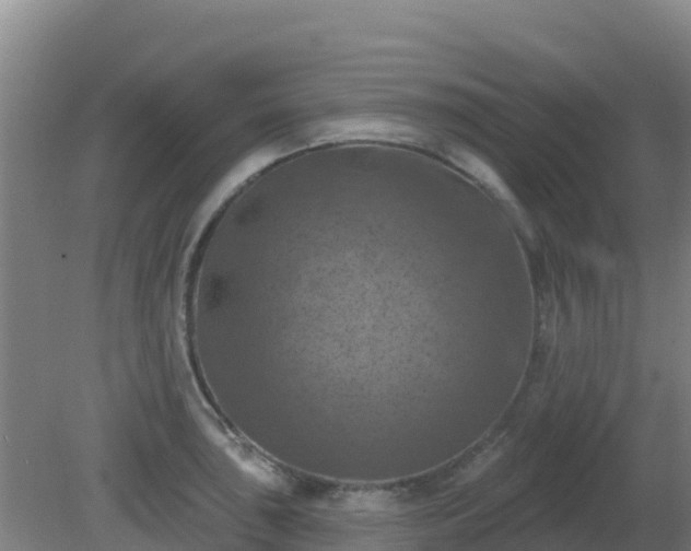 X0000081361043200701182107
