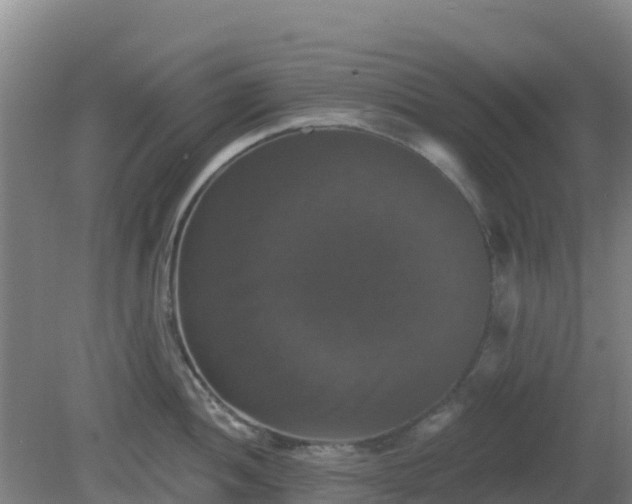 X0000081361052200701182108