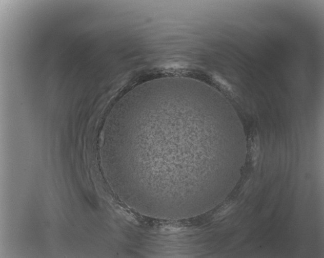 X0000081361057200701182107