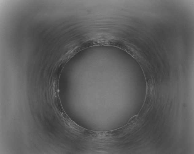 X0000081361060200701182107