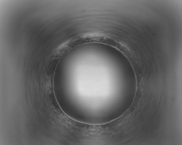 X0000081361062200701182107