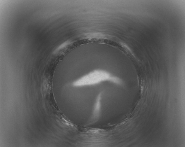 X0000081361063200701182107