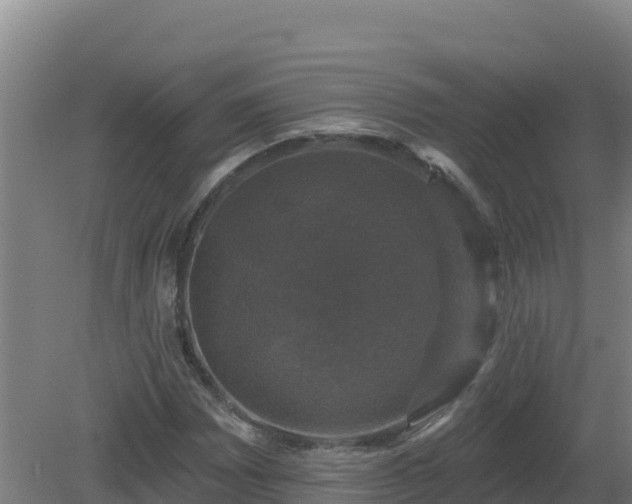 X0000081361065200701182107