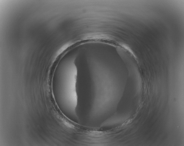 X0000081361071200701182107