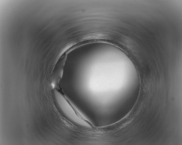 X0000081361073200701182107