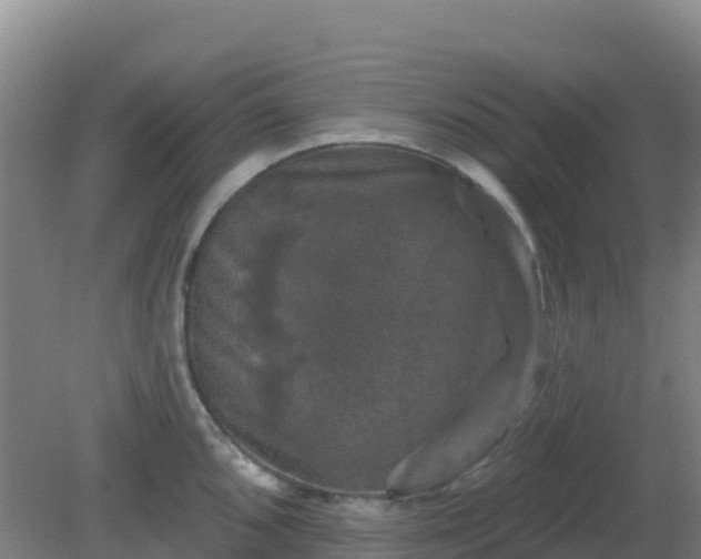 X0000081361096200701182106