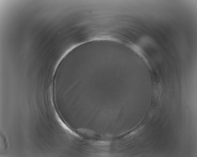 X0000081361100200701182106
