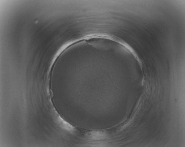 X0000081361102200701182106