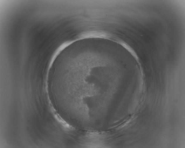 X0000081361104200701182106