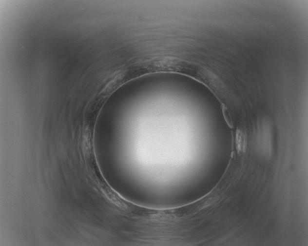 X0000081361107200701182105