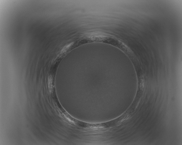 X0000081361108200701182105