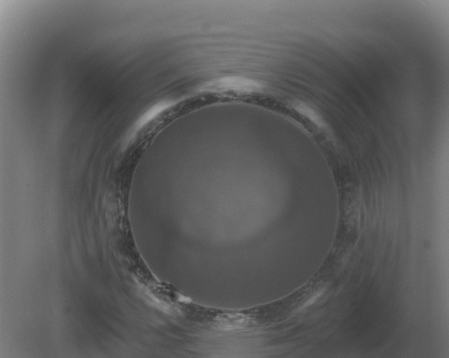 X0000081361112200701182105