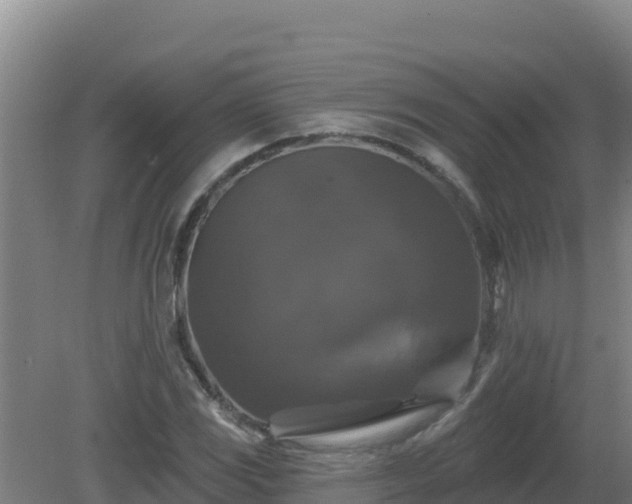 X0000081361117200701182105
