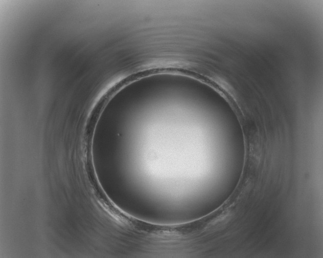 X0000081361119200701182106