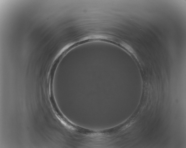 X0000081361127200701182106