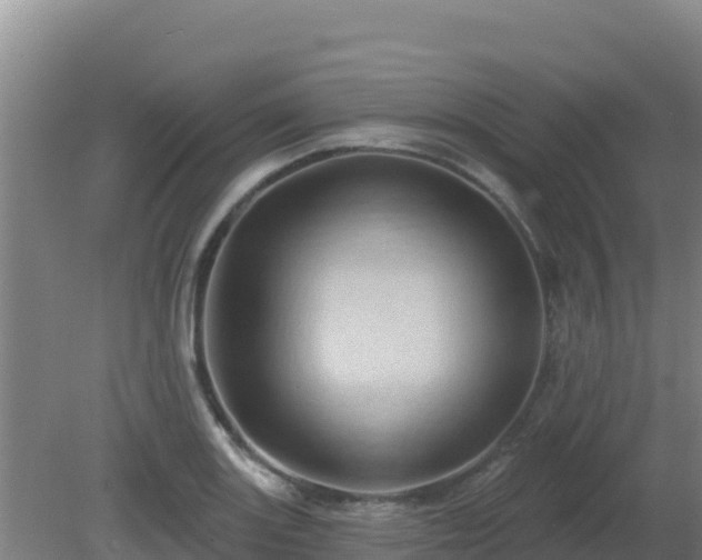 X0000081361131200701182106