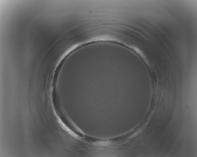 X0000081361134200701182106