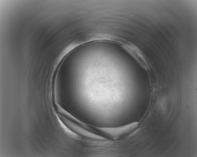 X0000081361143200701182106