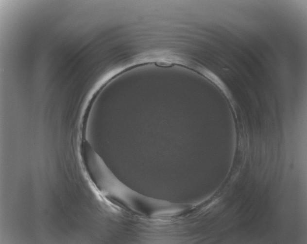 X0000081361144200701182106