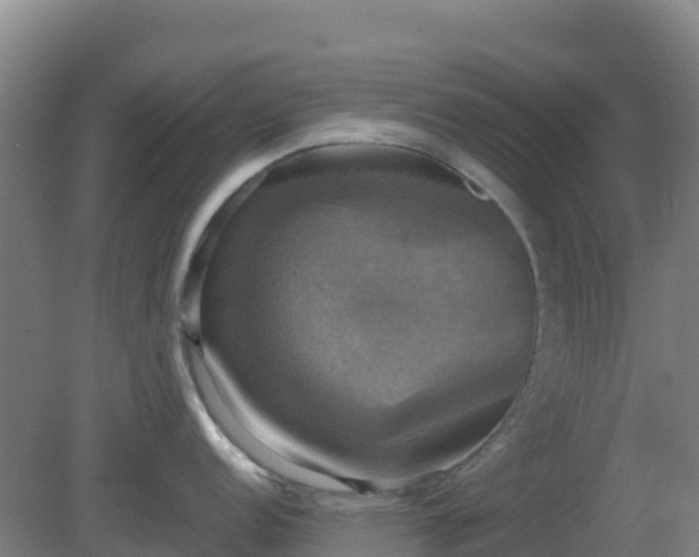 X0000081361152200701182106