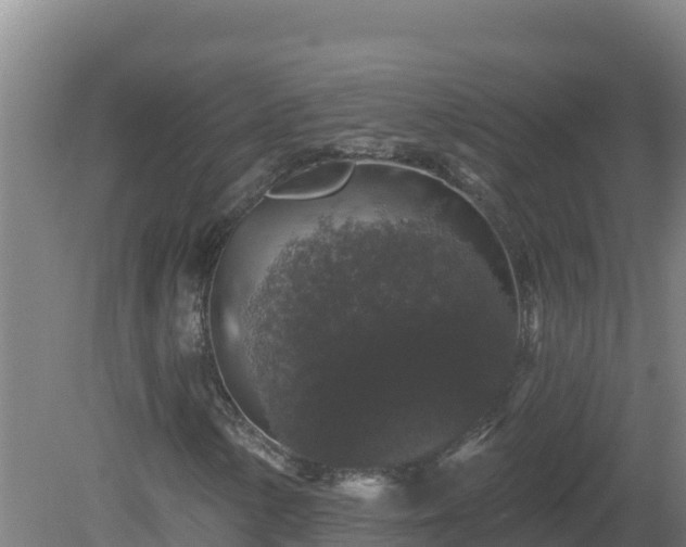 X0000081361154200701182105