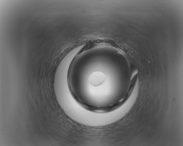 X0000081361157200701182105