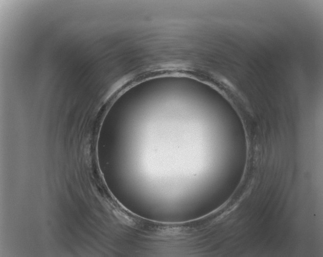 X0000081361162200701182105