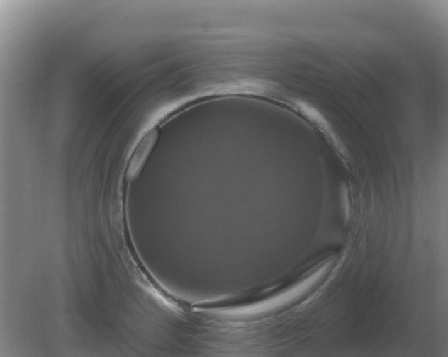 X0000081361184200701182105
