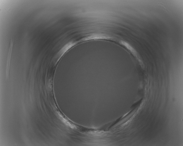 X0000081361185200701182105