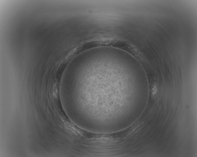 X0000081361204200701182104