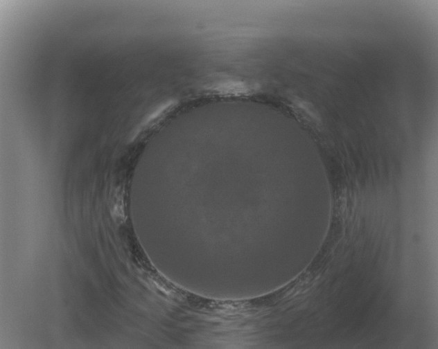 X0000081361205200701182104