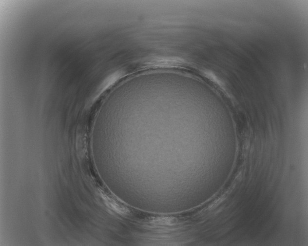 X0000081361211200701182104
