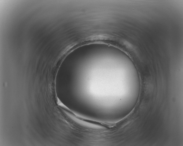 X0000081361217200701182104