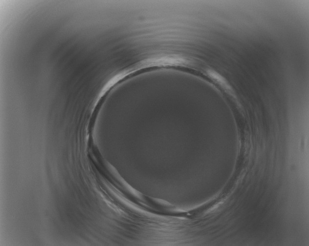X0000081361226200701182104