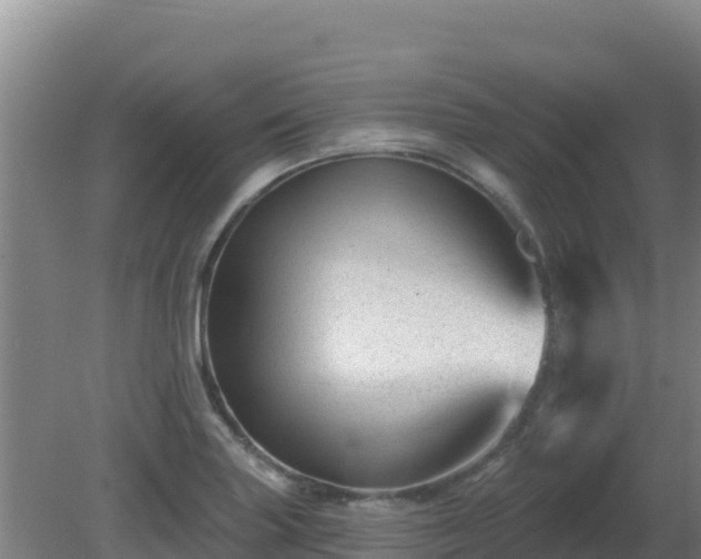 X0000081361227200701182104