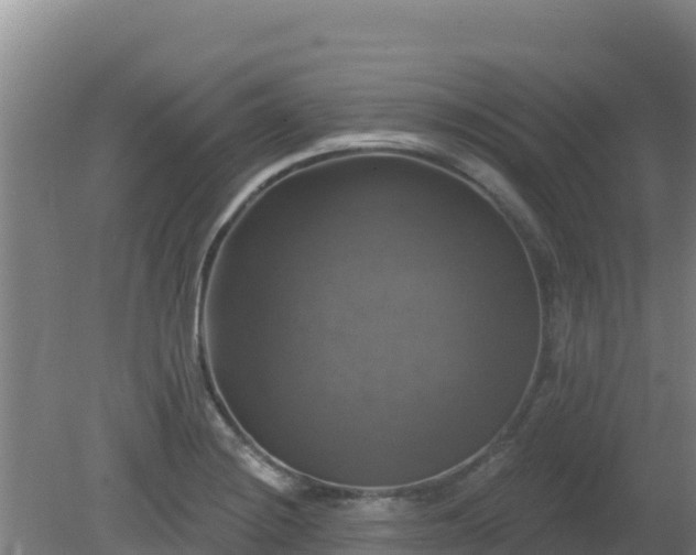 X0000081361228200701182104