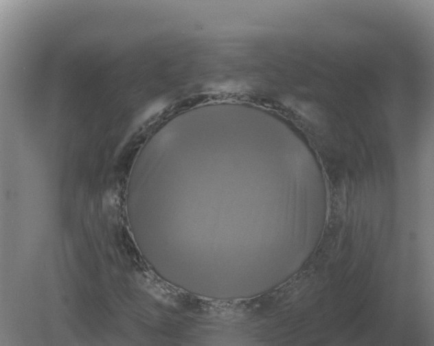 X0000081361254200701182104