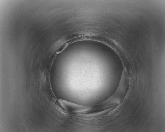 X0000081361257200701182103