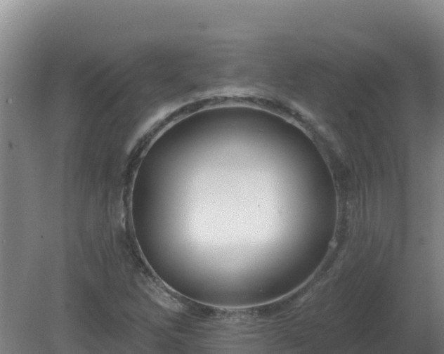 X0000081361262200701182103
