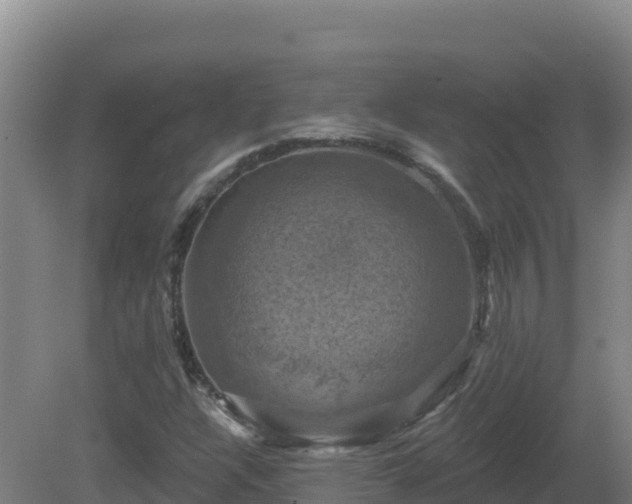 X0000081361304200701182102