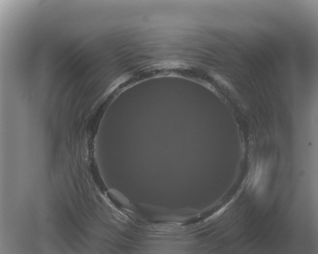 X0000081361305200701182102