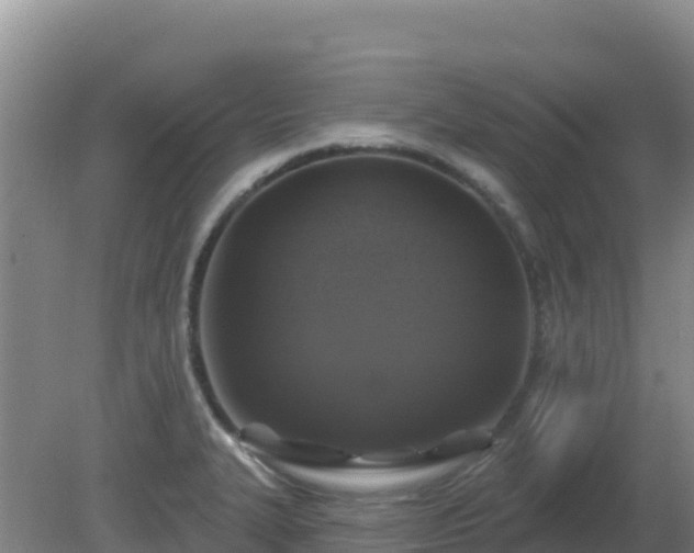 X0000081361327200701182103